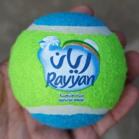 Balles de tennis personnalisées en gros pour entreprise